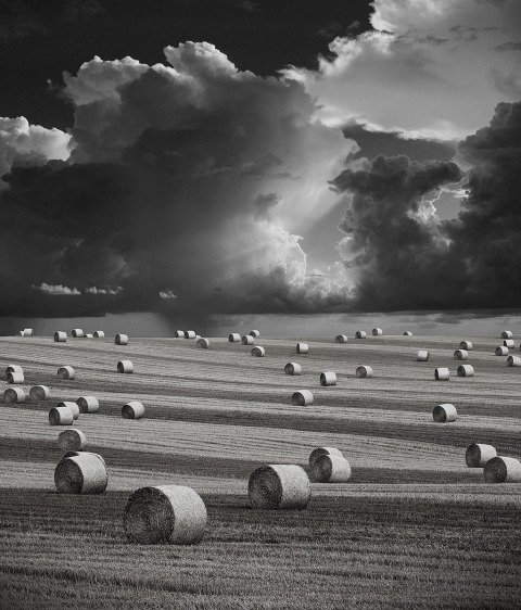 Stormy Harvest Landscape Hay Bales and Storm Sky and Clouds in England