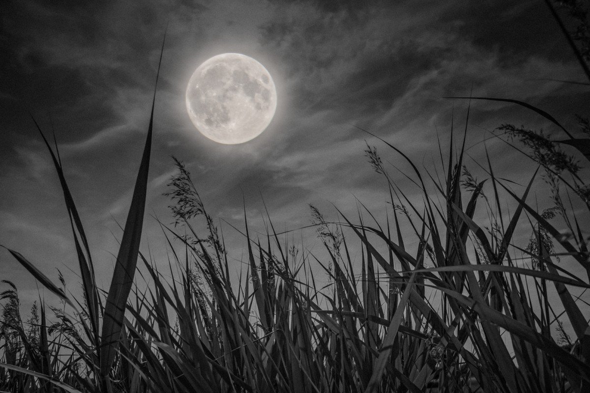 harvest-moon-grass-landscape-low-field-of-view