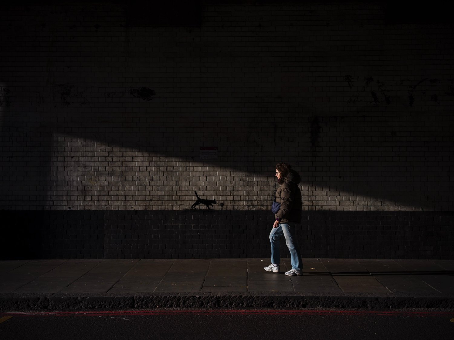 Woman walking beside a brick wall while the shadow of a small cat appears in a band of light.